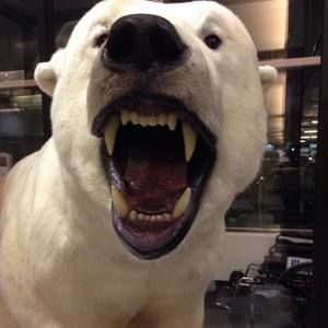 Meet your Posher, Primero